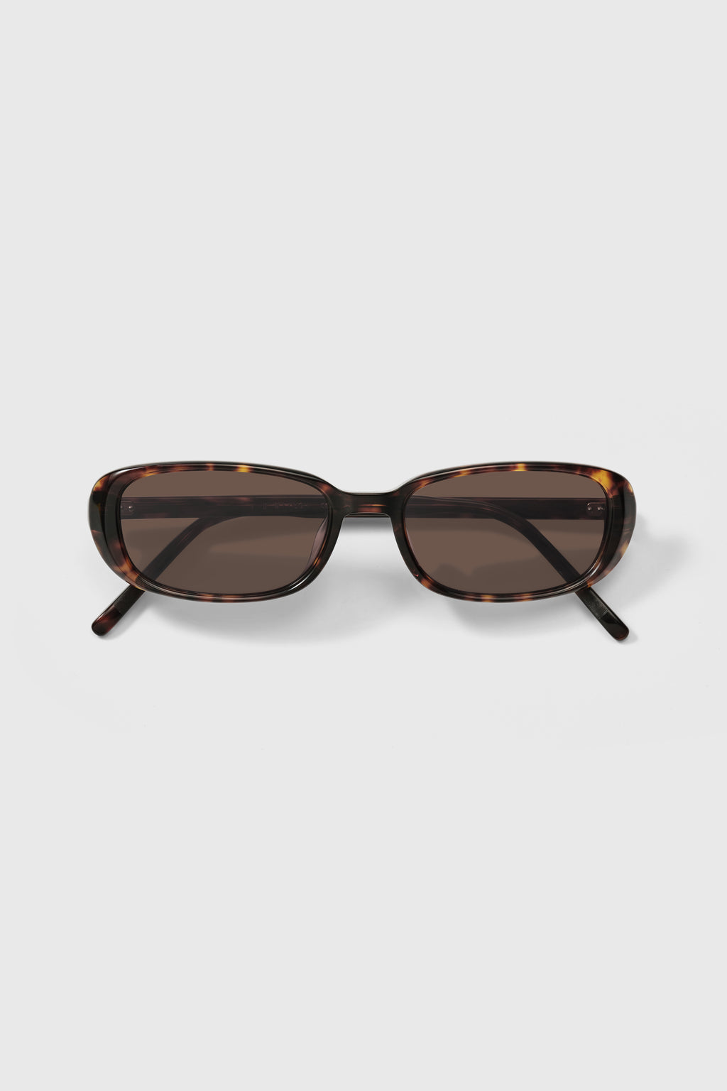 YUN Hugh - Black Currant Tortoise