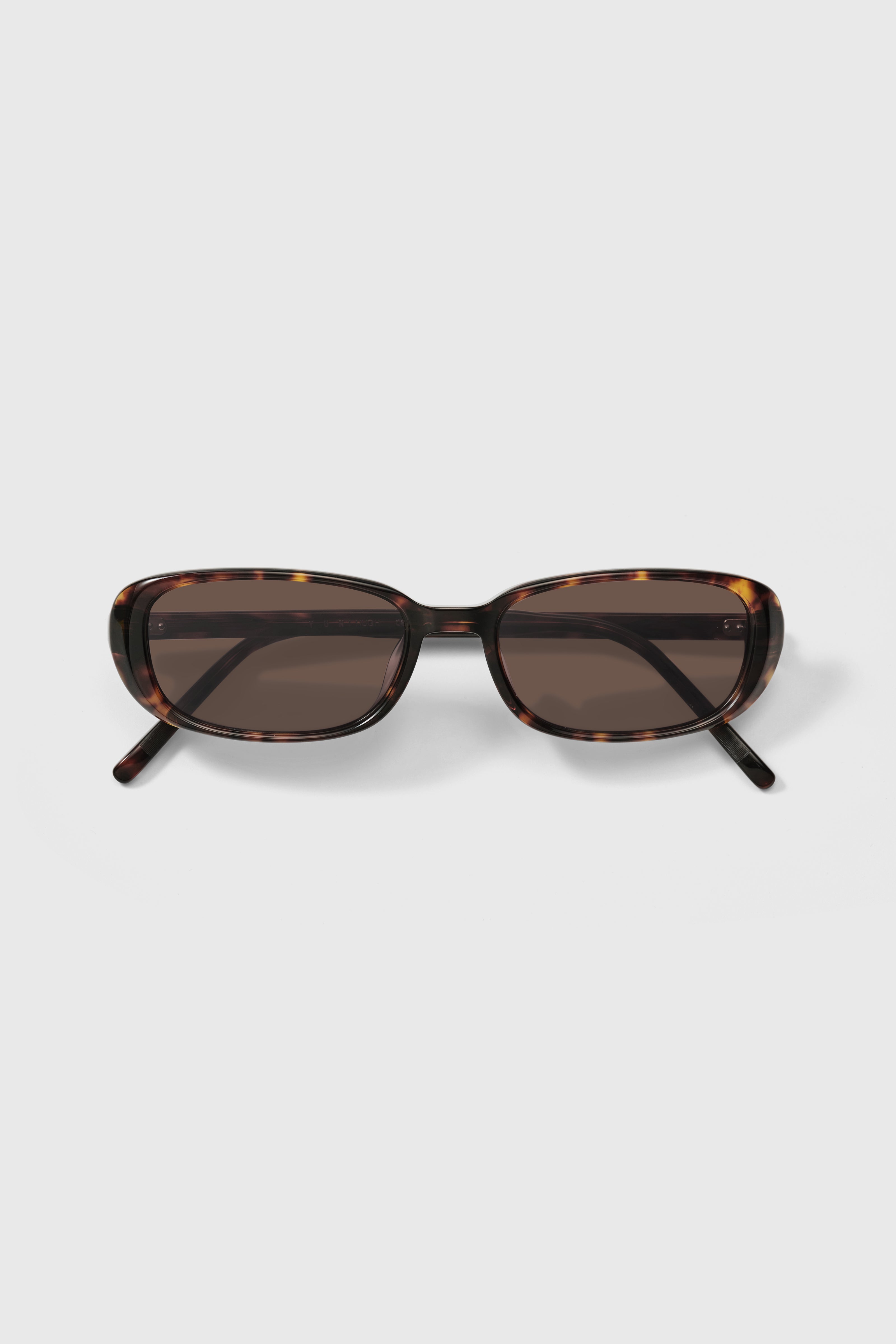 YUN Hugh - Black Currant Tortoise